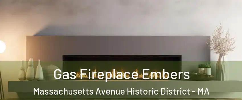 Gas Fireplace Embers Massachusetts Avenue Historic District - MA