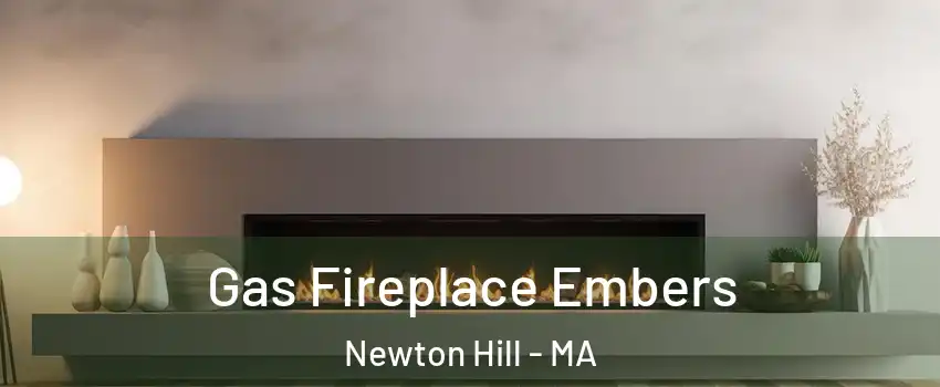 Gas Fireplace Embers Newton Hill - MA