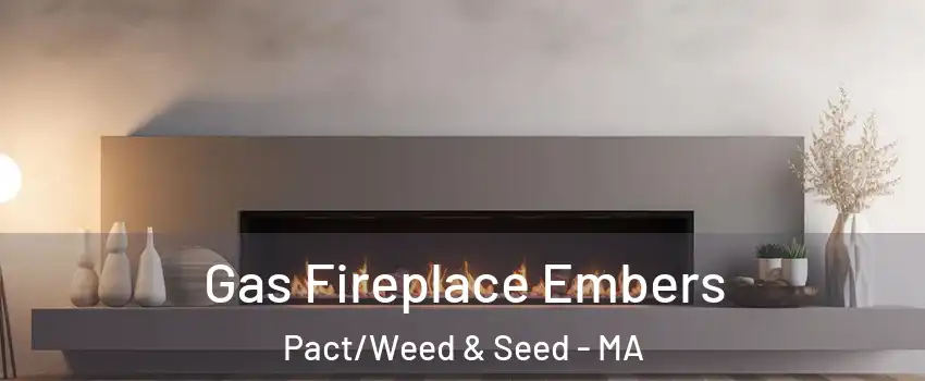 Gas Fireplace Embers Pact/Weed & Seed - MA