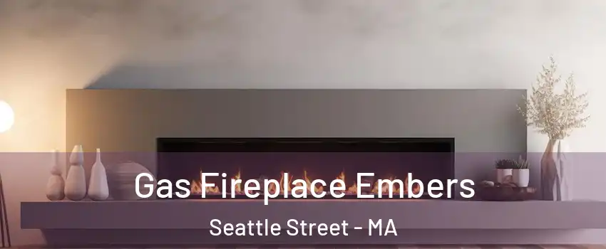 Gas Fireplace Embers Seattle Street - MA