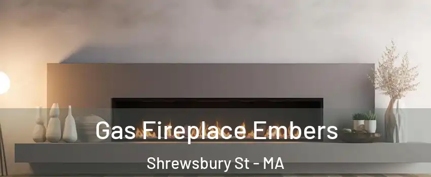 Gas Fireplace Embers Shrewsbury St - MA