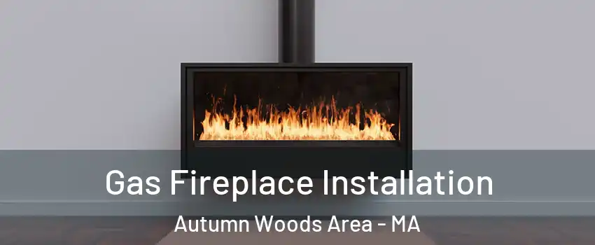 Gas Fireplace Installation Autumn Woods Area - MA