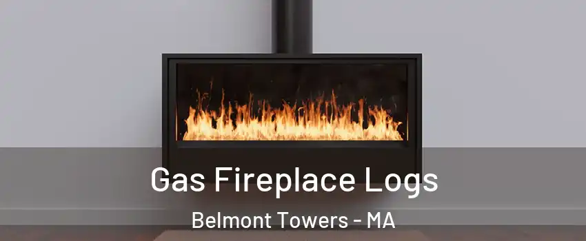 Gas Fireplace Logs Belmont Towers - MA