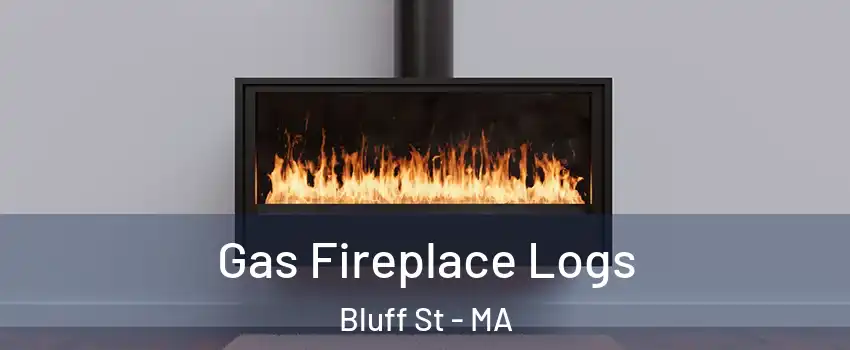 Gas Fireplace Logs Bluff St - MA