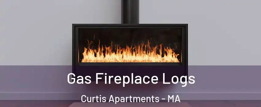 Gas Fireplace Logs Curtis Apartments - MA