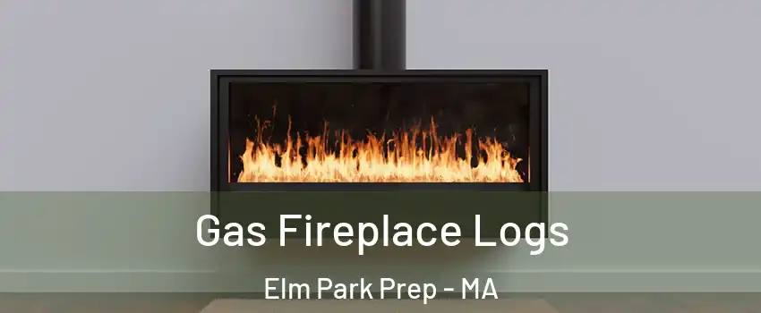 Gas Fireplace Logs Elm Park Prep - MA