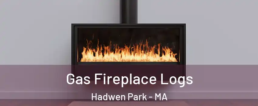 Gas Fireplace Logs Hadwen Park - MA