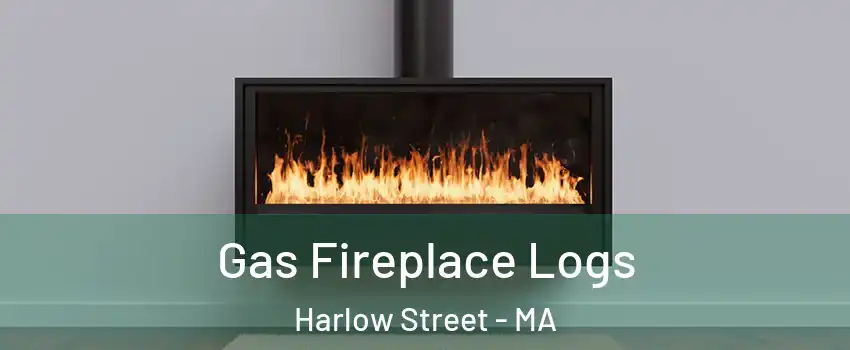 Gas Fireplace Logs Harlow Street - MA