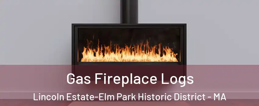 Gas Fireplace Logs Lincoln Estate-Elm Park Historic District - MA