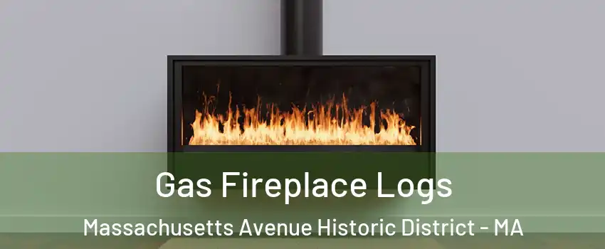 Gas Fireplace Logs Massachusetts Avenue Historic District - MA