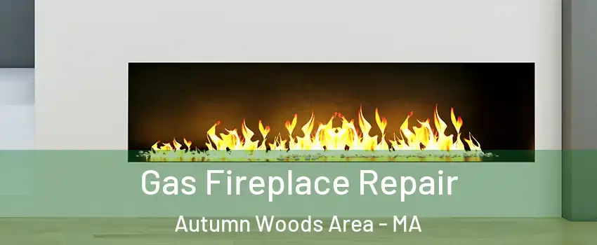 Gas Fireplace Repair Autumn Woods Area - MA