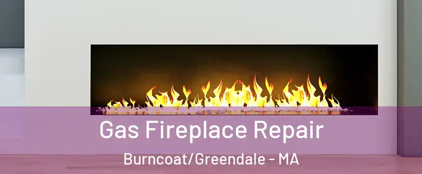 Gas Fireplace Repair Burncoat/Greendale - MA