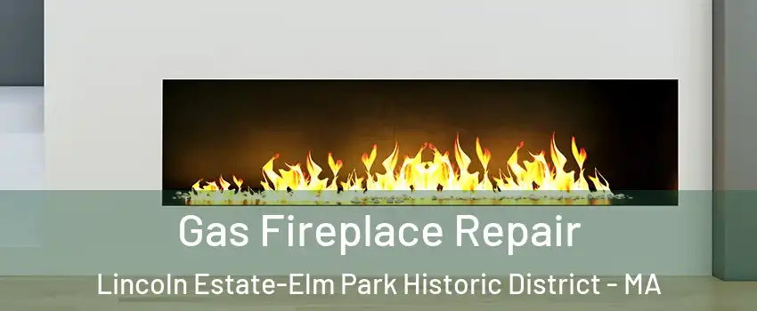 Gas Fireplace Repair Lincoln Estate-Elm Park Historic District - MA