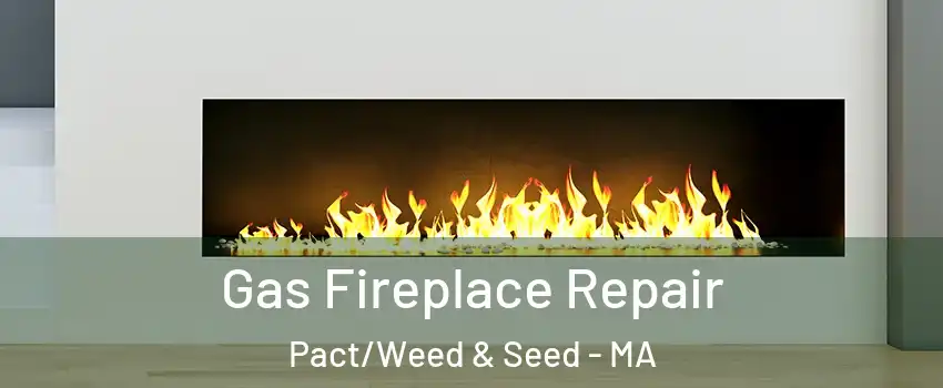 Gas Fireplace Repair Pact/Weed & Seed - MA