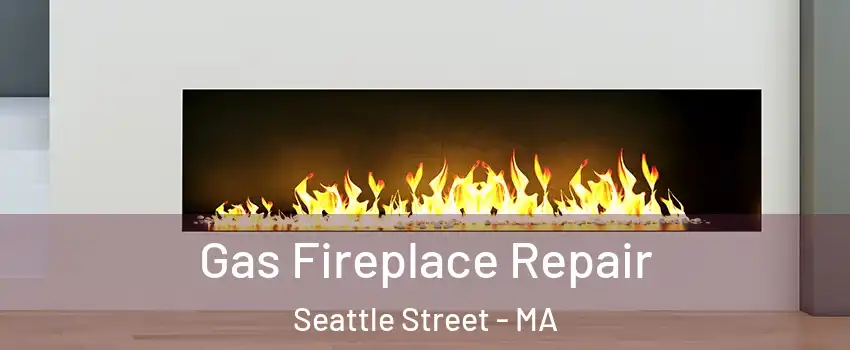 Gas Fireplace Repair Seattle Street - MA