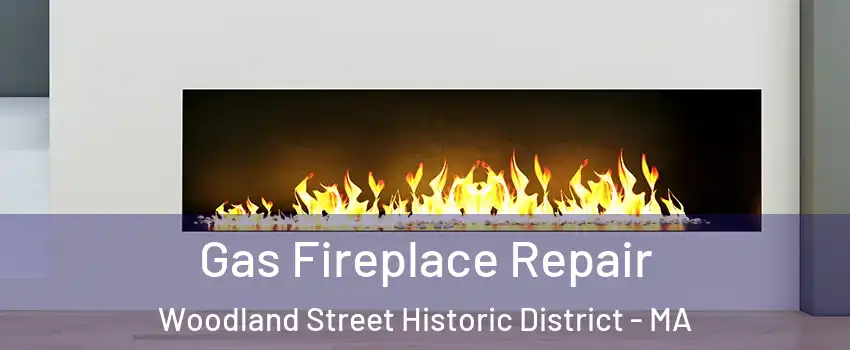 Gas Fireplace Repair Woodland Street Historic District - MA