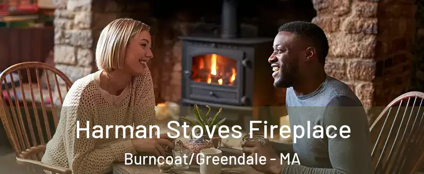 Harman Stoves Fireplace Burncoat/Greendale - MA