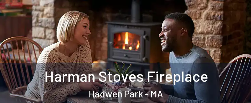 Harman Stoves Fireplace Hadwen Park - MA