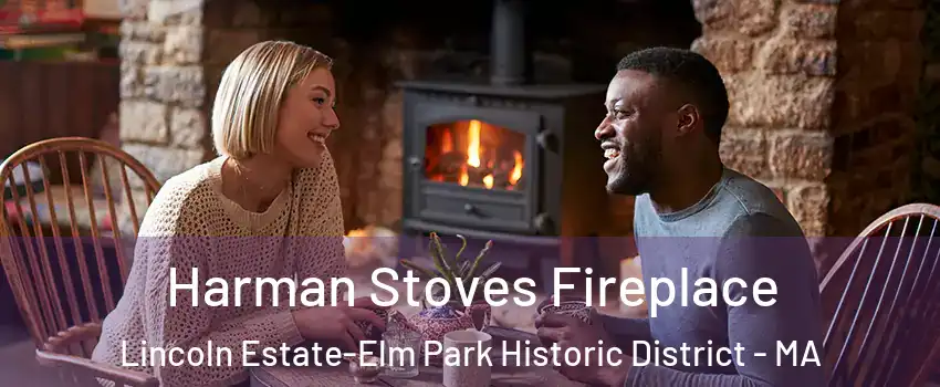 Harman Stoves Fireplace Lincoln Estate-Elm Park Historic District - MA