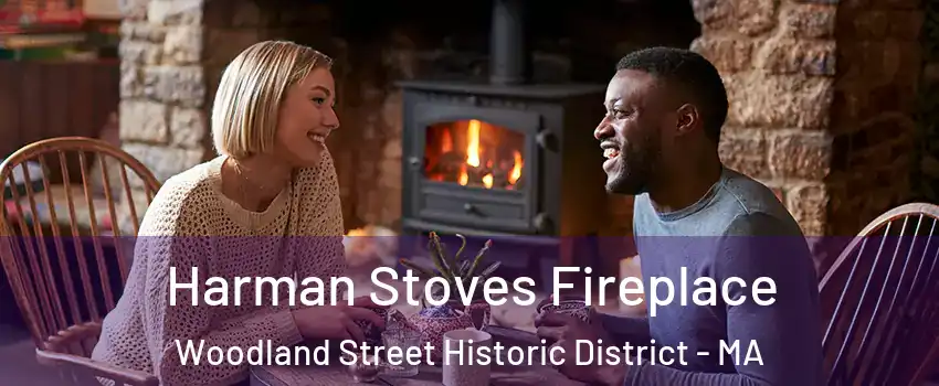 Harman Stoves Fireplace Woodland Street Historic District - MA