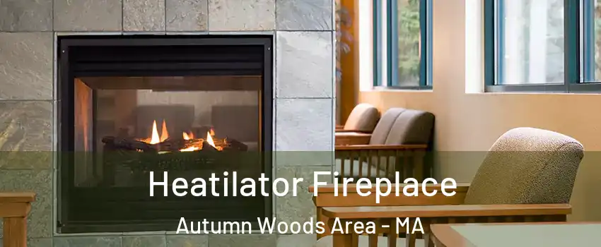 Heatilator Fireplace Autumn Woods Area - MA