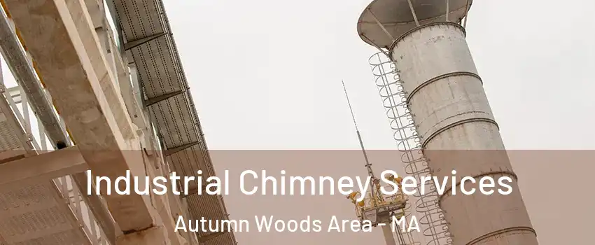 Industrial Chimney Services Autumn Woods Area - MA