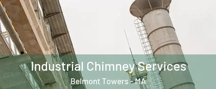 Industrial Chimney Services Belmont Towers - MA