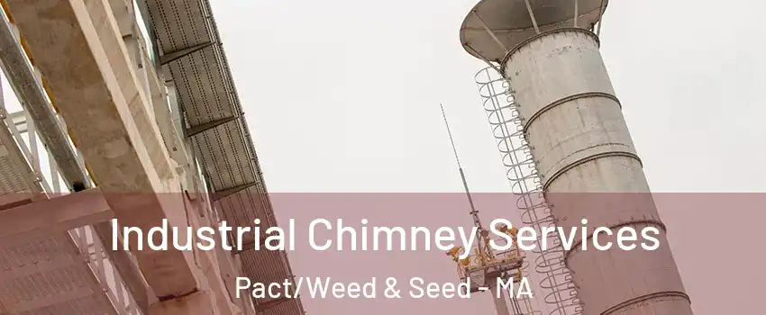 Industrial Chimney Services Pact/Weed & Seed - MA