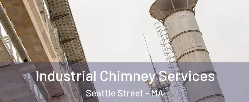 Industrial Chimney Services Seattle Street - MA