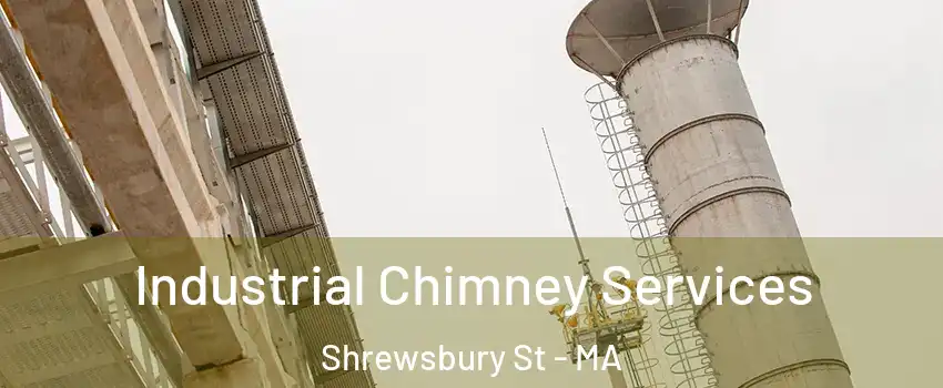 Industrial Chimney Services Shrewsbury St - MA