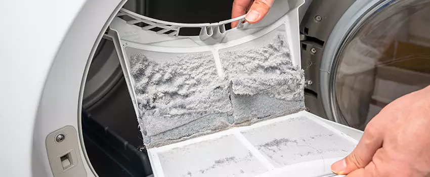 Best Dryer Lint Removal Company in Green Island, Massachusetts