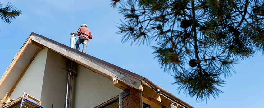 Birds Removal Contractors from Chimney in Green Island, MA