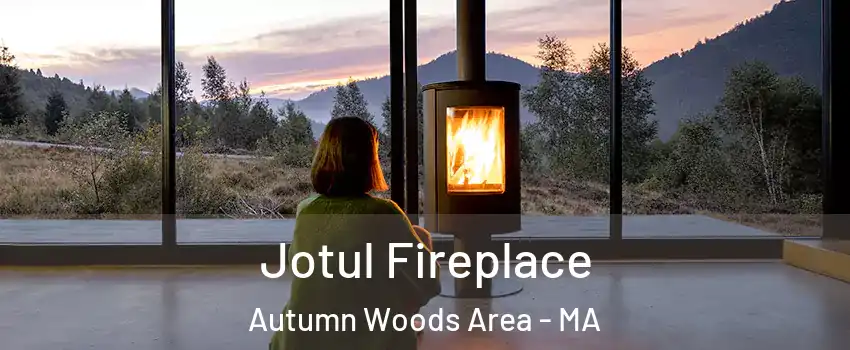 Jotul Fireplace Autumn Woods Area - MA