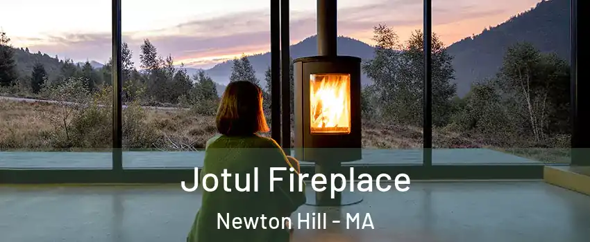 Jotul Fireplace Newton Hill - MA