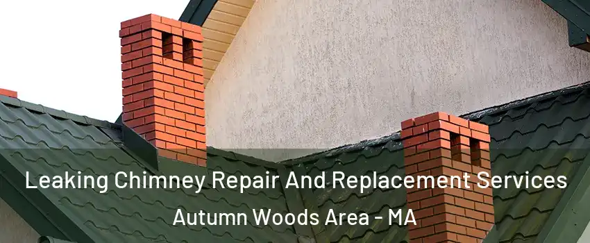 Leaking Chimney Repair And Replacement Services Autumn Woods Area - MA