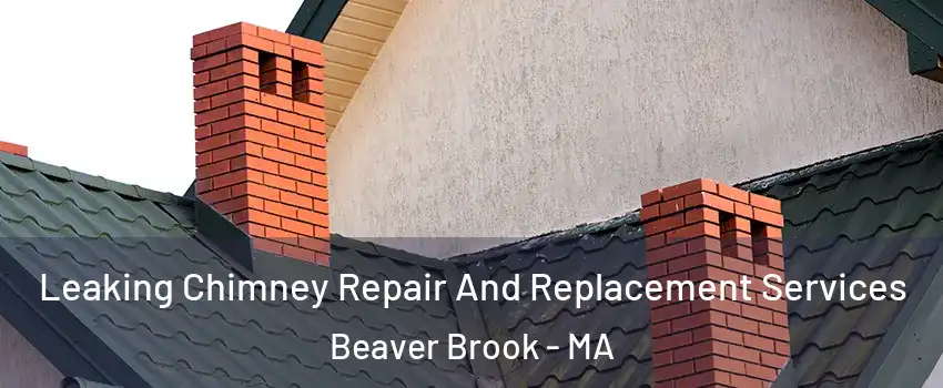 Leaking Chimney Repair And Replacement Services Beaver Brook - MA