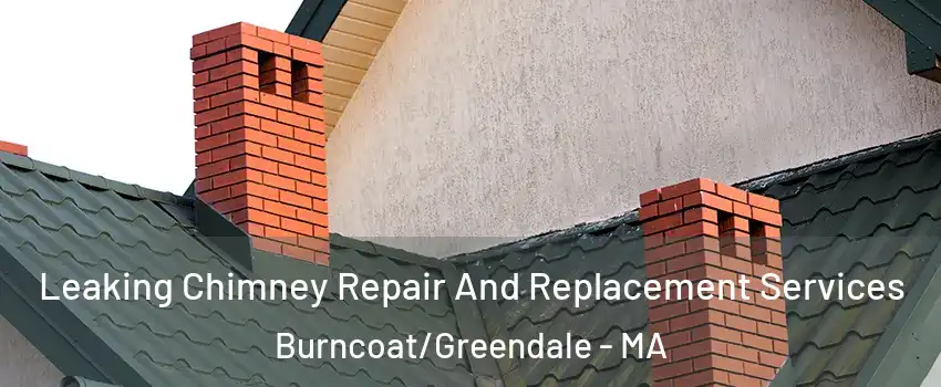 Leaking Chimney Repair And Replacement Services Burncoat/Greendale - MA