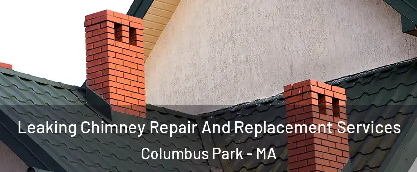 Leaking Chimney Repair And Replacement Services Columbus Park - MA