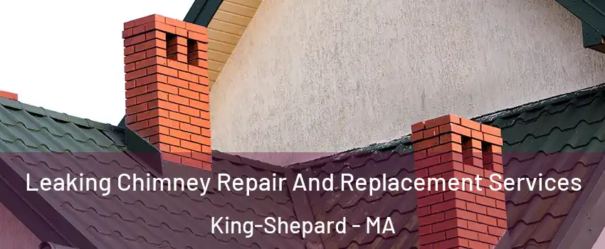 Leaking Chimney Repair And Replacement Services King-Shepard - MA