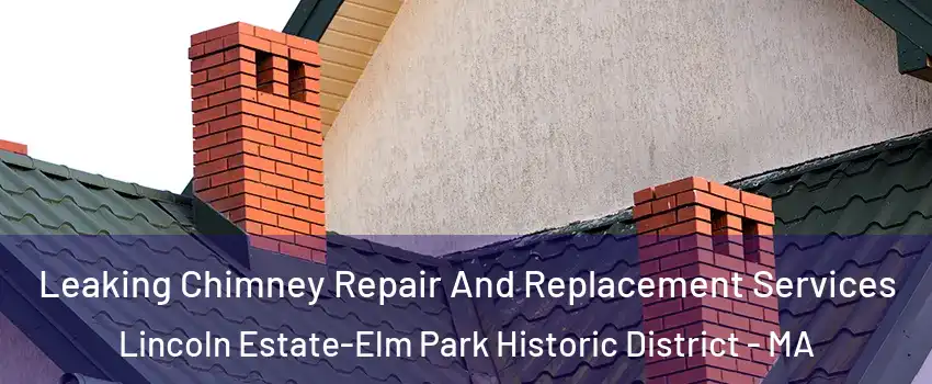 Leaking Chimney Repair And Replacement Services Lincoln Estate-Elm Park Historic District - MA