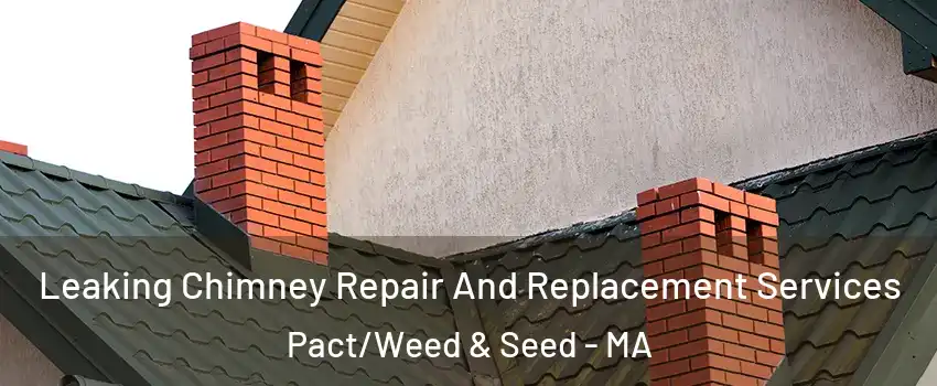 Leaking Chimney Repair And Replacement Services Pact/Weed & Seed - MA