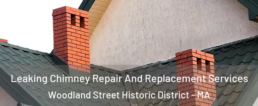 Leaking Chimney Repair And Replacement Services Woodland Street Historic District - MA