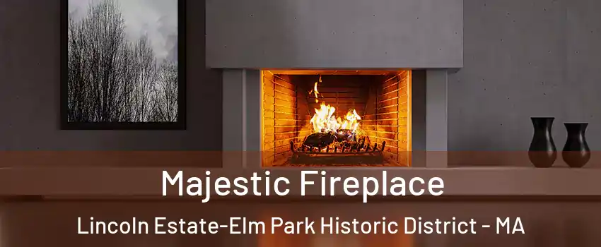 Majestic Fireplace Lincoln Estate-Elm Park Historic District - MA