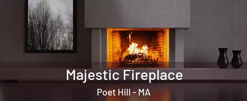 Majestic Fireplace Poet Hill - MA