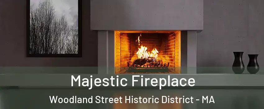 Majestic Fireplace Woodland Street Historic District - MA