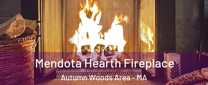 Mendota Hearth Fireplace Autumn Woods Area - MA