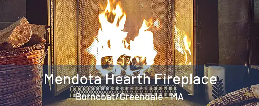 Mendota Hearth Fireplace Burncoat/Greendale - MA