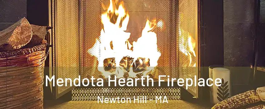 Mendota Hearth Fireplace Newton Hill - MA