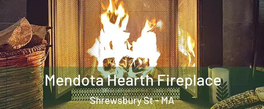 Mendota Hearth Fireplace Shrewsbury St - MA