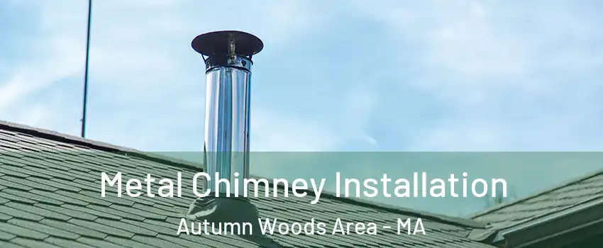 Metal Chimney Installation Autumn Woods Area - MA